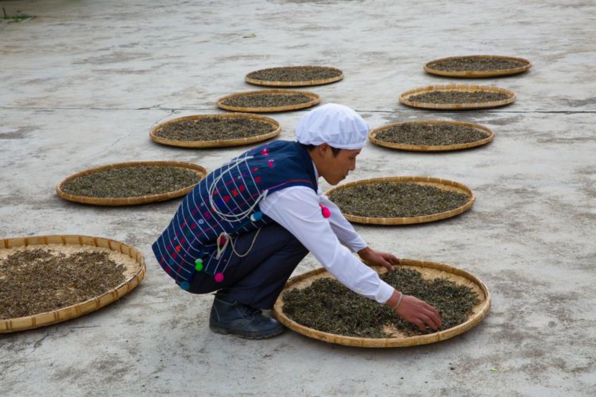 普洱茶产业网